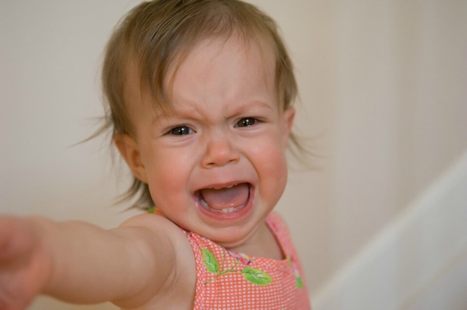 8 signs your toddler has hit the terrible twos