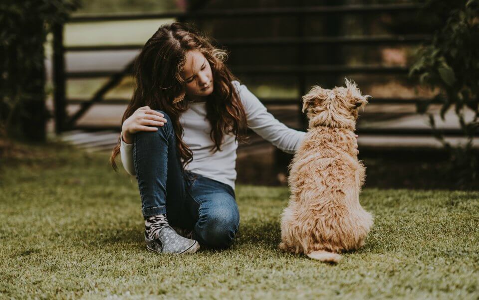 Owning a dog is good for your health - and will help you live longer, research fin