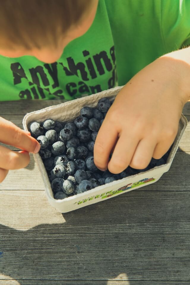 Blueberries could be the secret to helping your child perform well in their exams!